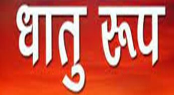 ‘संस्कृत की संस्कृति’ : पंडित जी पूजा कराते वक़्त ‘यजामि’ या ‘यजते’ कहें, तो क्या मतलब?