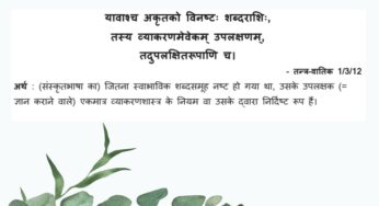 ‘संस्कृत की संस्कृति’ : संस्कृत व्याकरण की धुरी किसे माना जाता है?