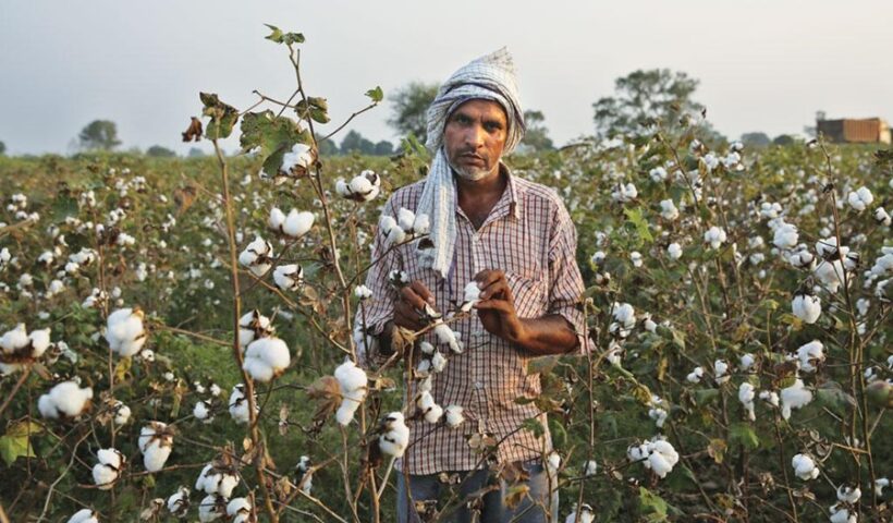 Farmer