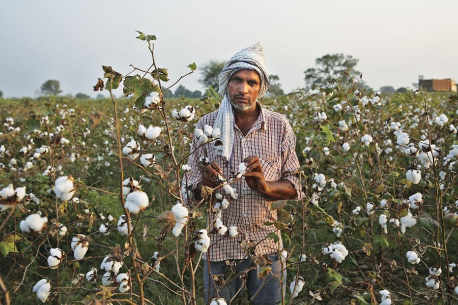 Farmer