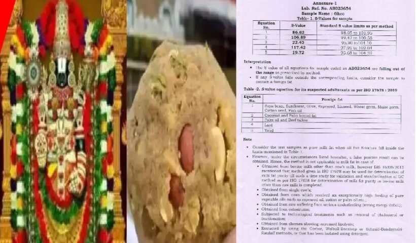 Tirupati-Laddu