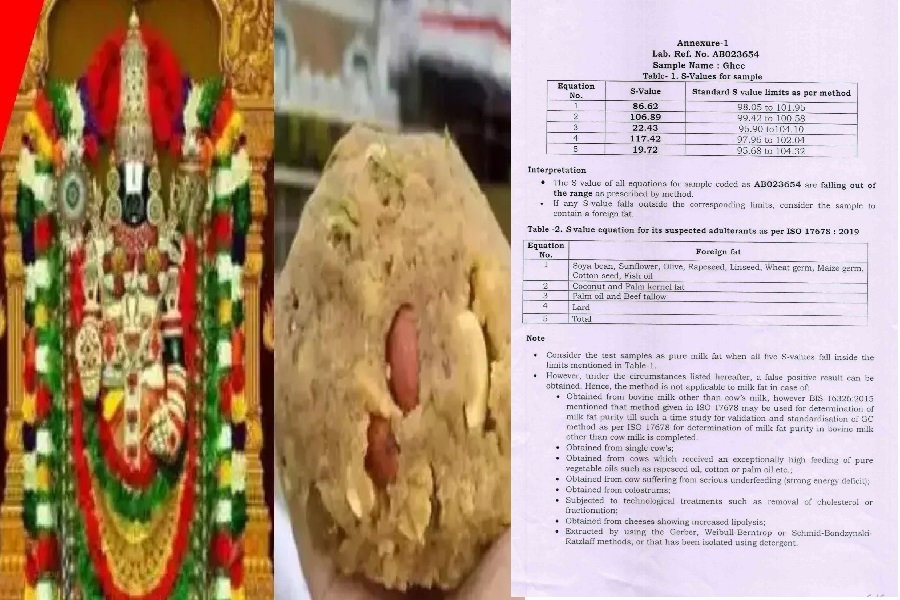 Tirupati-Laddu