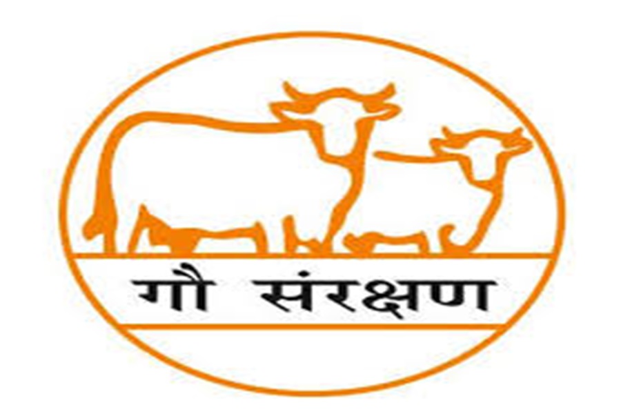 Cow Conservation