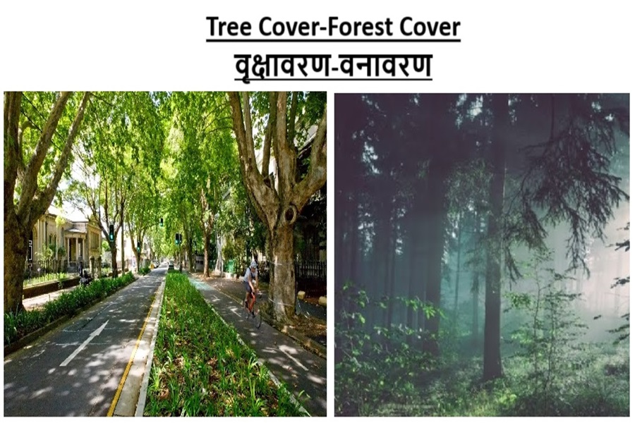 Tree Cover-Forest Cover