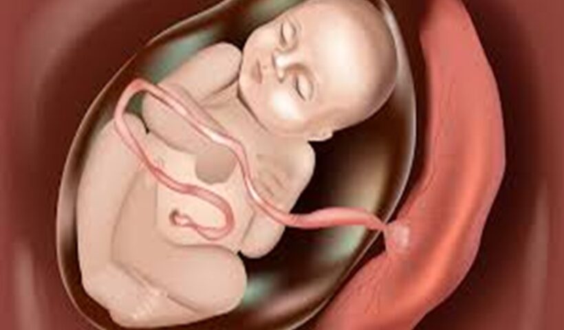 Child in womb