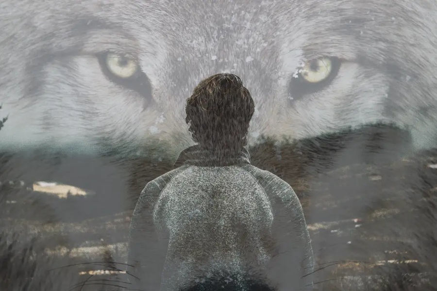 lone-wolf
